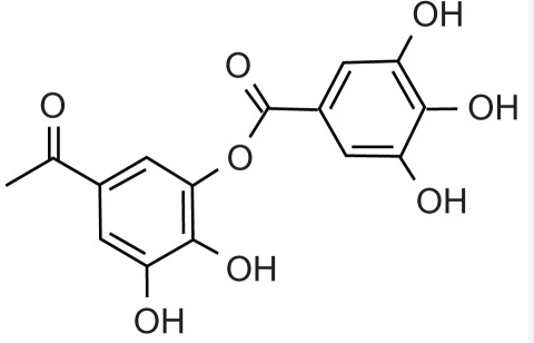 tannins in plants.png